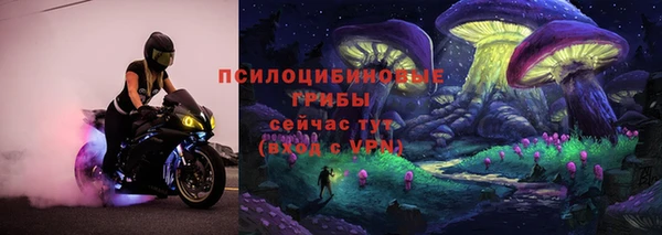 герыч Алзамай
