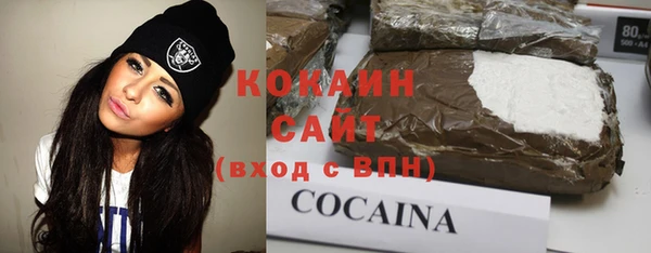 соль ск Алексин