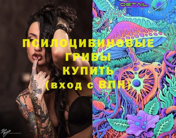 соль ск Алексин