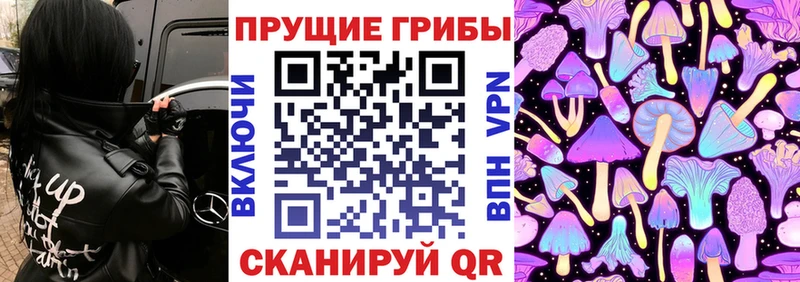 Псилоцибиновые грибы MAGIC MUSHROOMS Карачев