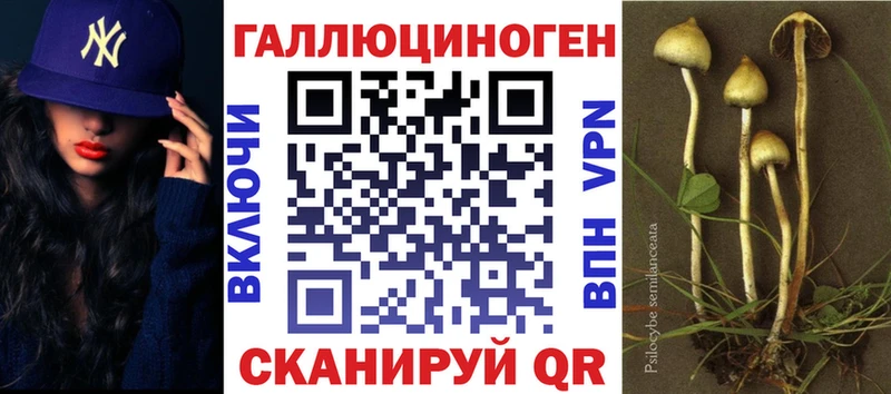 OMG ONION  Карачев  Псилоцибиновые грибы MAGIC MUSHROOMS 