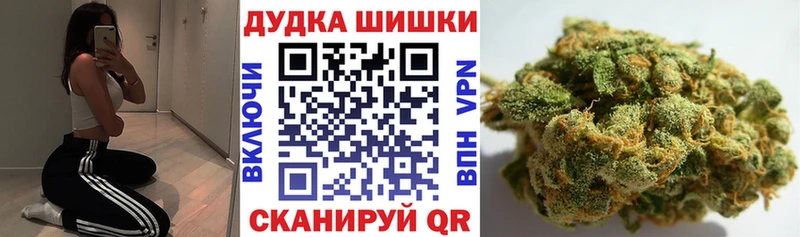 Конопля сатива  Карачев 